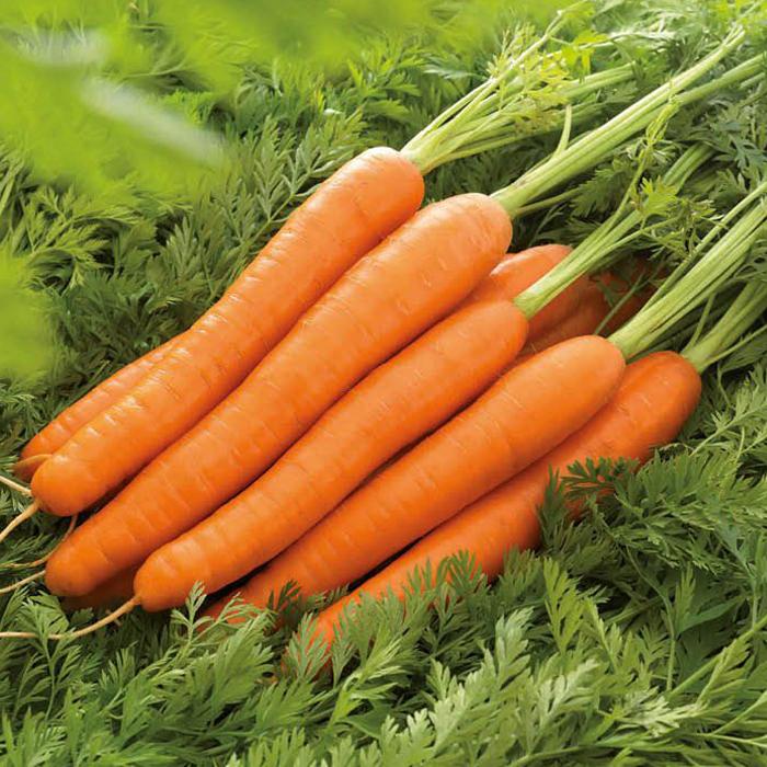 Морковь Лагуна F1 (0,2гр)